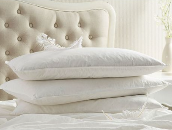 Jack Brown Hotel Premium Goose Feather Pillow - 2 Piece