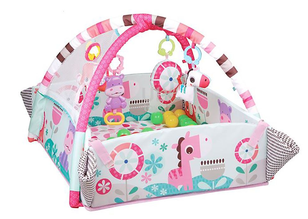Jack Brown 5-in-1 Activity Gym & Ball Pit